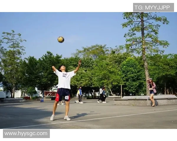 广州排球队的辉煌征程与奥运梦想的追逐之路